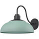 Levitt 1 Light 11.63 inch Natural Black Outdoor Wall Light in Natural Teal
